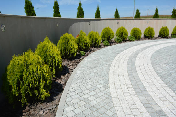 Best Decorative Driveway Pavers  in Watertown, MN