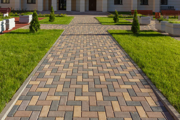 Best Affordable Driveway Paving  in Watertown, MN